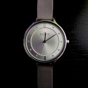 Skagen Silver Tone Mesh Watch